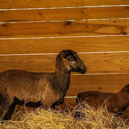 Baltic Park - 4* Niechorze