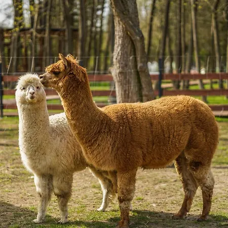 Resort Baltic Park - 4*