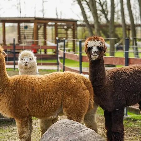 Baltic Park - Resort Niechorze